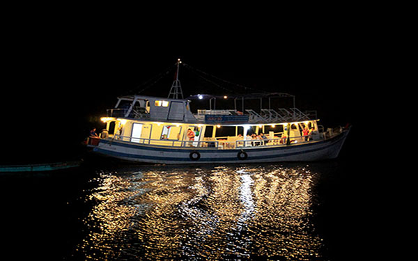 TOUR CÂU CÁ, MỰC ĐÊM