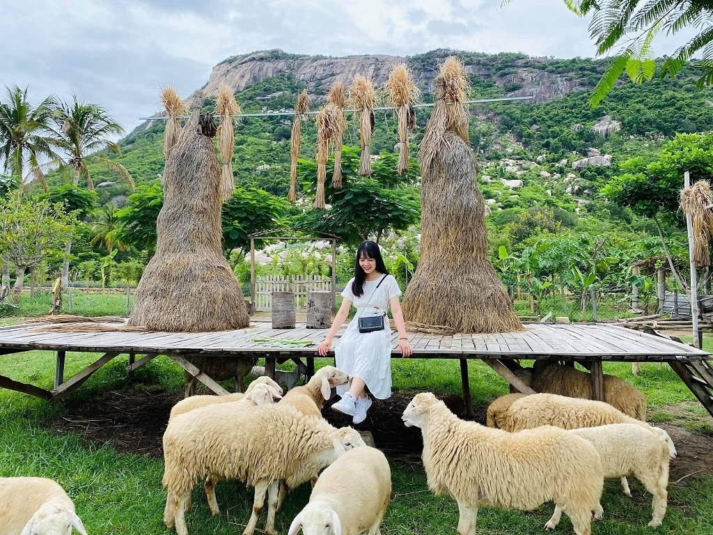 TOUR DU LỊCH NHA TRANG 4N3Đ